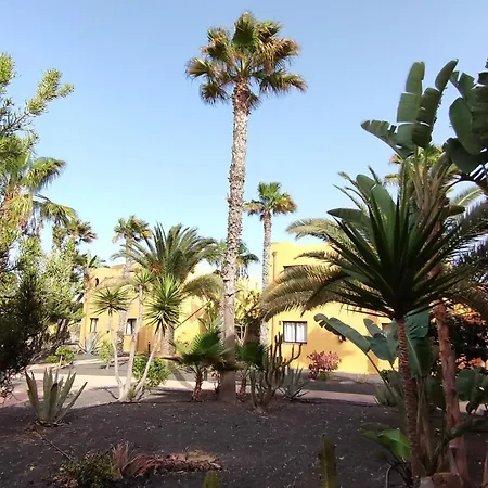 Casa Margherita Oasis Tamarindo 1 Saltwater Pools Διαμέρισμα Κοραλέχο
